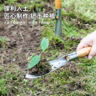 天喜（TIANXI）园艺工具小铲子不锈钢铁锹户外除草挖土松土神器赶海种菜养花铁铲 锰钢园艺尖铲