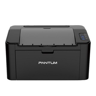 PANTUM 奔图 P2509 黑白激光打印机 黑色