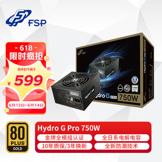 FSP 全汉 Hydro G Pro 750 金牌（90%）全模组ATX电源 750W