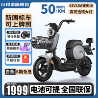 小羚羊 羚羊 Q3电动车 48V15A锂电 新国标电动自行车
