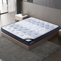 艺申（yishen）床垫 成人弹簧席梦思床垫1.8米双人家用卧室家具椰棕床垫经济型 1800*2000
