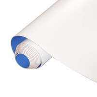 纳仕德 DMQ923 PVC塑胶地板革车间防水阻燃地胶垫 白色2米宽1.2mm厚/平