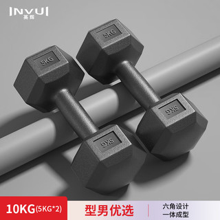 INVUI 英辉 环保包胶六角哑铃男女士家用健身器材 10KG一副（5KG*2）