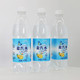  椰汁岛 盐汽水 600ml*6瓶　