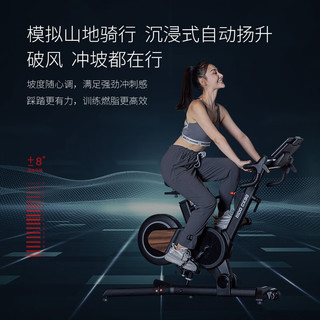 RiDO 力动康体 力动 动感单车家用单车健身器  CX30电动升降坡度调节