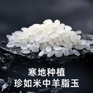 荆楚大地 大米臻选寒地珍珠米10kg东北大米经典圆粒米一级粳米20斤