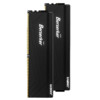 SAMNIX 新乐士 Berserker 狂刃战士系列 DDR5 6800Mhz 台式机内存 马甲条 黑色 32GB 16GB*2