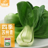 IDEAL理想农业 小青菜种子四季小白菜上海青菜小油菜蔬菜种籽50g*1袋