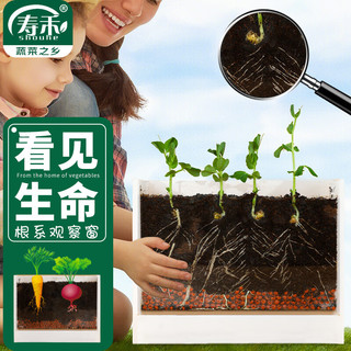 寿禾 根系观察窗儿童种植玩具幼儿园盆栽兴趣培养 儿童园艺透明观察窗