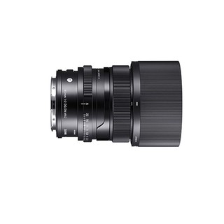 SIGMA 适马 65mm F2.0 DG DN 标准定焦镜头 索尼E卡口 62mm