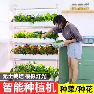 朵咔园艺家庭智能种菜机自动室内多层水培蔬菜种植机无土栽培设备神器植物
