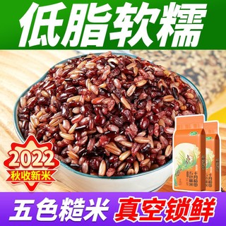 十月稻田 五色糙米1斤起2斤5斤真空装低脂高膳食纤维红米黑米糙米