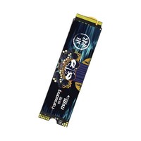 有券的上：FANXIANG 梵想 S690MQ NVMe M.2 固态硬盘 4TB （PCIe 4.0）