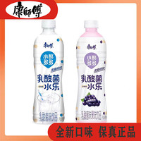 康师傅新品乳酸菌小酪多多原味葡萄味500ml/瓶奶水饮品早餐奶饮料