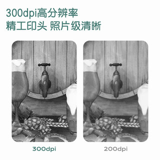 deli 得力 DL 得力工具 得力（deli）300dpi高清错题学习打印机 打印机