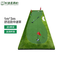 B.C.GOLF高尔夫推杆练习器 高尔夫练习室内高尔夫家用办公室高尔夫练习毯 1m*3m舒适款中速草