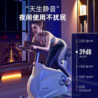 英尔健（yingerjian）动感单车家用智能健身磁控静音智能健身车运 标准版