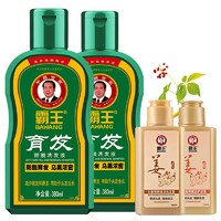 BAWANG 霸王 洗护套装防脱洗发液380ml*2+旅行装80ml*2（控油去屑 强根健发）