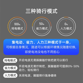 凤凰（Phoenix）铝合金电动车锂电池助力山地自行车男女士变速双减震代步电瓶车 29寸铝合金/21速/辐条轮/M19灰 电动续航96公里