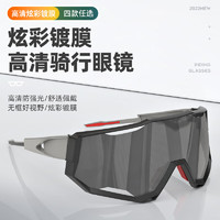 魔轮（Move iron）骑行眼镜自行车防风镜炫彩镀膜太阳镜户外跑步护目镜 深色运动款
