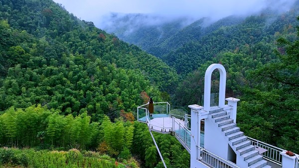 又一避暑圣地，端午暑假不加价！安徽花筑奢·黄山苦株树故事民宿 4种房型1晚通兑（含双早+咖啡+点心）