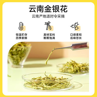 YETAI 椰泰 轻上金银花凉茶植物凉茶饮料245ml*10瓶装0添加蔗糖防腐剂