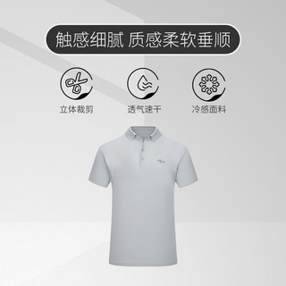 P&TGOLF新款高尔夫短袖T恤翻领高尔夫服装polo球衣宽松 浅灰色 XL