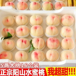 阳山 正宗无锡阳山水蜜桃4.8斤软桃新鲜水果毛桃应季桃子蜜桃礼盒整箱