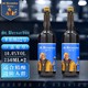 StBernardus 圣伯纳 St.Bernardus啤酒比利时进口精酿 圣伯纳12号啤酒 750mL*2瓶