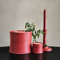LOEWE 罗意威 番茄叶香氛香薰蜡烛 植物 小众 居家