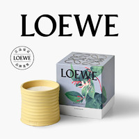 LOEWE 罗意威 家居香薰蜡烛 #金银花 170g+赠香水体验装1.5ml