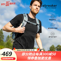 icebreaker美利奴羊毛男Tech Lite II速干短袖T恤户外登山跑步快干衣0A59IY 黑色/001 XL（尺码偏大）