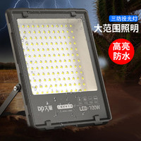 DP久量（Duration power）LED投光灯园林照明投射灯 PI65防水户外大功率探照灯工业路灯100W