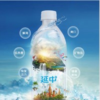 YANZHONG 延中 经典原味盐汽水  盐汽水 600ml*20瓶