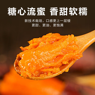 惠寻京东自有品牌 山东烟薯25号红薯净重1.5kg 烤红薯地瓜 产地直发