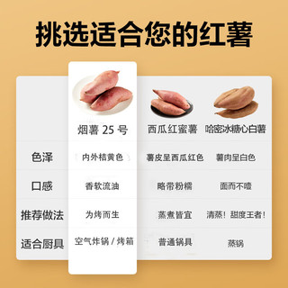 惠寻京东自有品牌 山东烟薯25号红薯净重1.5kg 烤红薯地瓜 产地直发