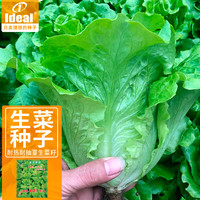 IDEAL理想农业 生菜种子四季耐抽薹蔬菜种籽家庭种植速生菜籽20g*1袋