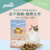 yoken 怡亲 全价成猫粮添加鸡肉冻干车前子助毛球排出12月以上成猫粮2kg