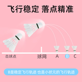 小状元 羽毛球耐打王室内室外专业比赛训练用球不易打烂 羽毛球(鸭毛)6球装（耐打）