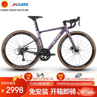 XDS 喜德盛 AD300 全內走破風公路車