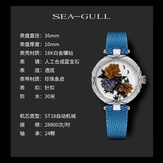 SEA-GULL 海鸥 收藏家系列 36毫米自动上链腕表 318.400L