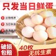 晋龙食品 40枚鸡蛋新鲜鸡蛋(平均单枚45g左右)红心蛋晋龙