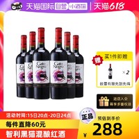GatoNegro 黑猫 智利原瓶进口黑猫干红葡萄酒赤霞珠西拉红酒整箱官方正品