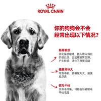 ROYAL CANIN 皇家 进口全犬种通用营养成犬全价湿粮主食罐头非零食385g*3