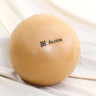 LIVEUP SPORTS普拉提小球加厚防爆瑜伽球健身塑形健身用品迷你瑜伽小球20cm30cm 咖啡棕-30cm