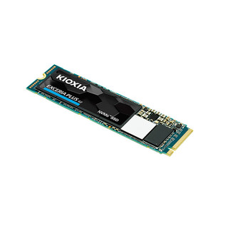 KIOXIA 铠侠 固态硬盘 RD20 500G（缓存512M） 标配