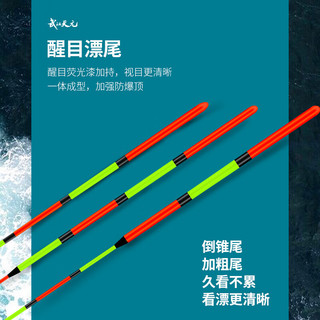 天元全水域纳米浮漂鲢鳙漂综合漂大物漂浅水漂高灵敏行程鱼漂 天元鲫鱼01CJ 1号