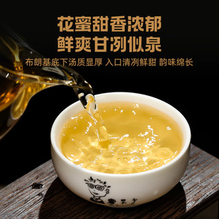 618新品优惠会员先享】老树白茶云南书呆子茶叶8g*45片小饼茶