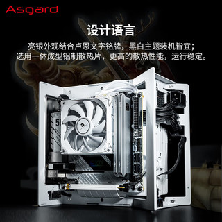 Asgard 阿斯加特 弗雷系列-钛银甲 DDR4 3200MHz 台式机内存条 64GB（32GB*2）套条
