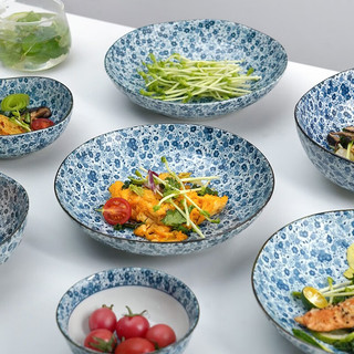 美浓烧（Mino Yaki）日本进口蓝花草碗盘餐具套装釉下彩碗碟组合餐碗盘10头 蓝花草10件套